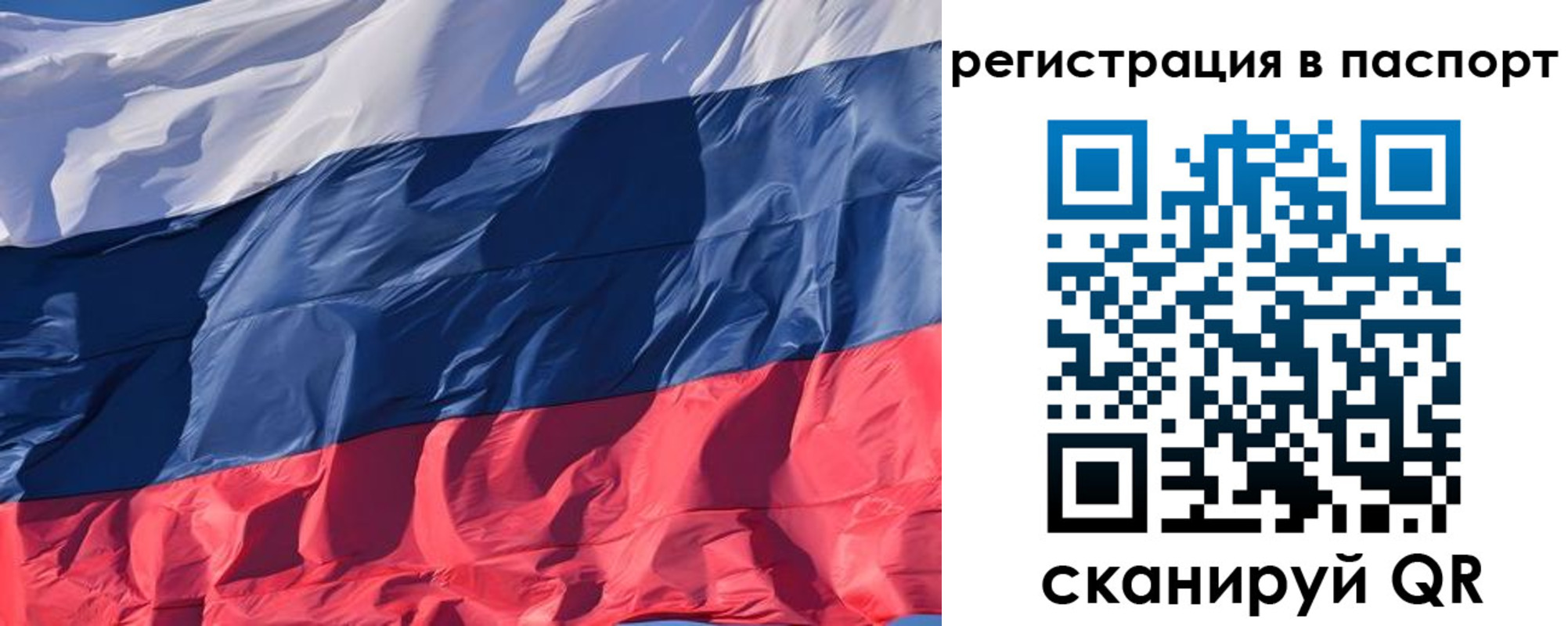 где прописаться в Коле